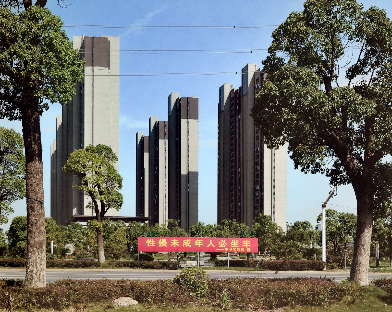 忽视的景观 image 4